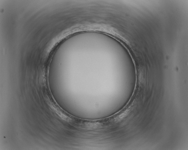 X0000063521498200601201419