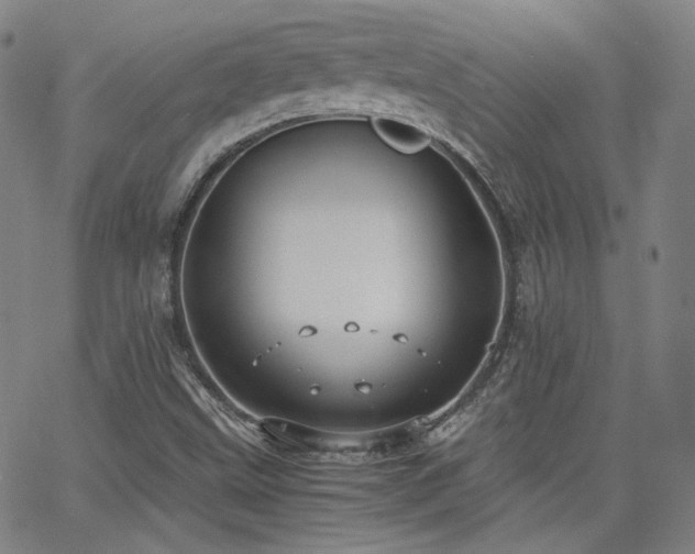 X0000063521499200601201419