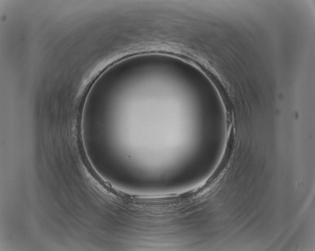 X0000063521500200601201419