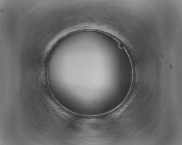 X0000063521502200601201419