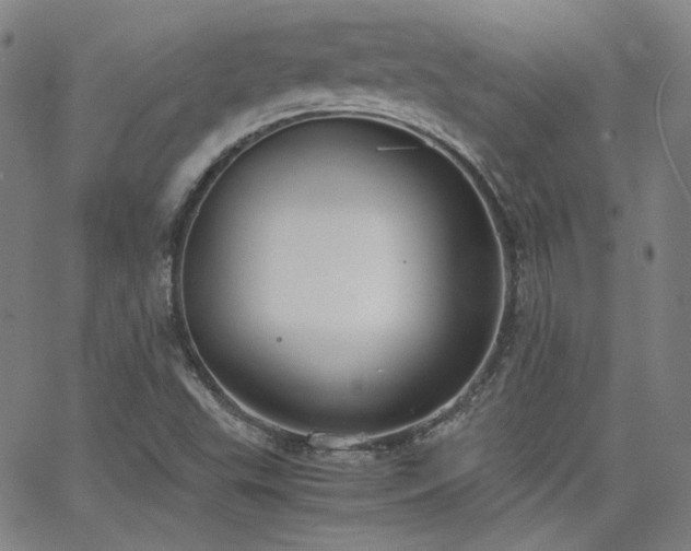 X0000063521503200601201420