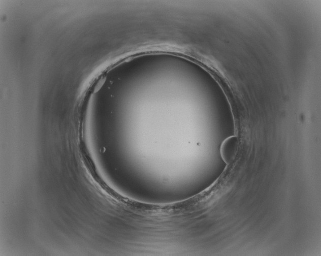 X0000063521504200601201420