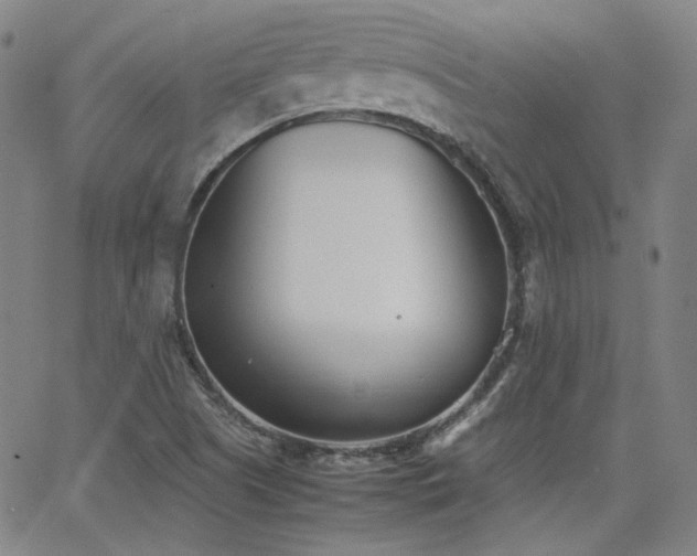 X0000063521505200601201420