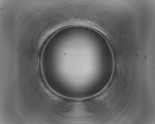 X0000063521507200601201420