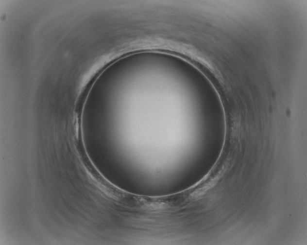 X0000063521509200601201420