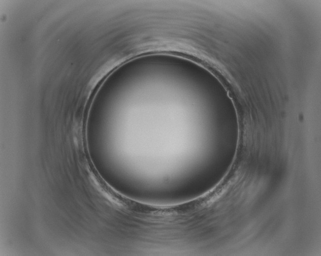 X0000063521513200601201420