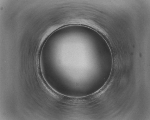 X0000063521517200601201420