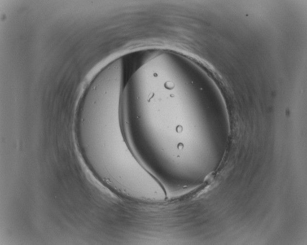 X0000063521518200601201420