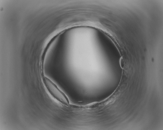 X0000063521519200601201420