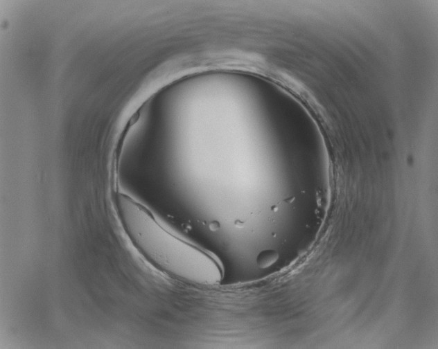 X0000063521520200601201420