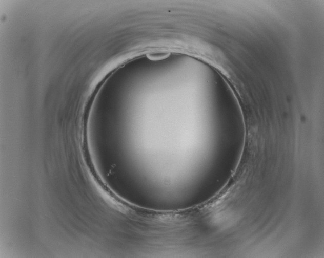 X0000063521523200601201420