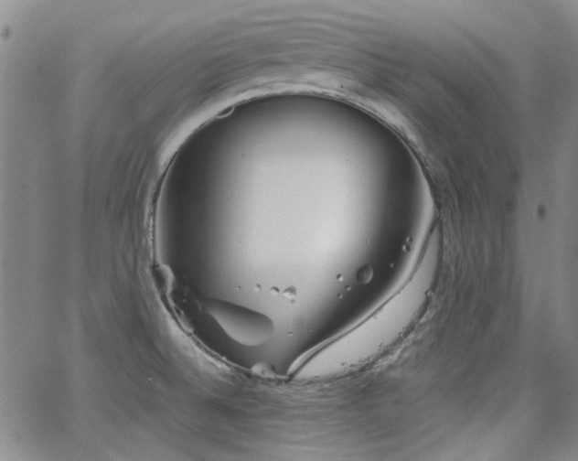 X0000063521524200601201420