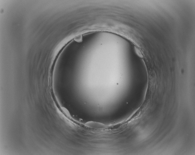 X0000063521527200601201420