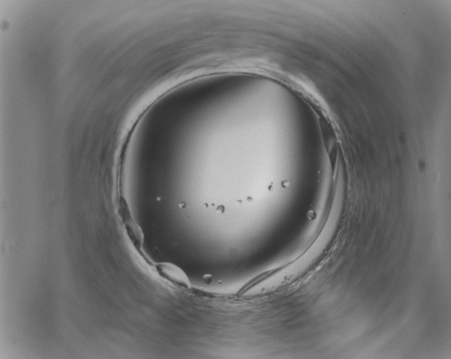 X0000063521528200601201420