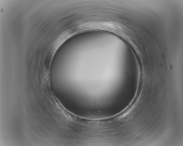 X0000063521529200601201420