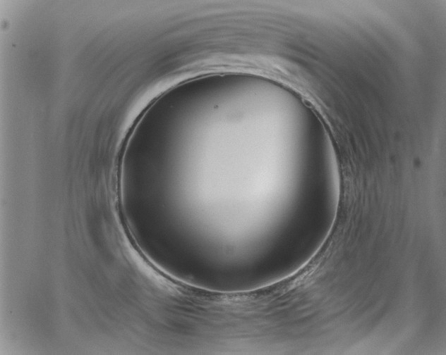 X0000063521531200601201420