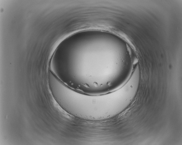 X0000063521532200601201420