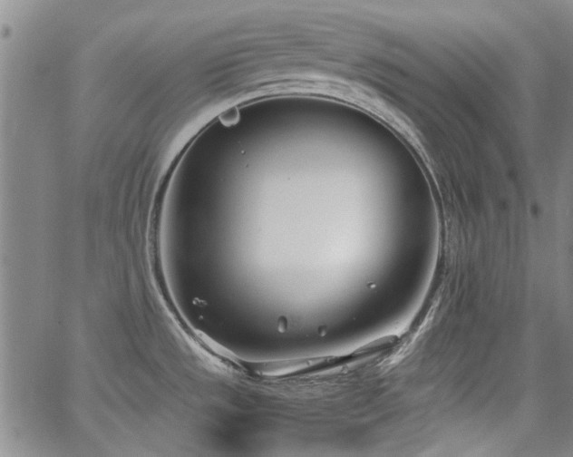 X0000063521533200601201420