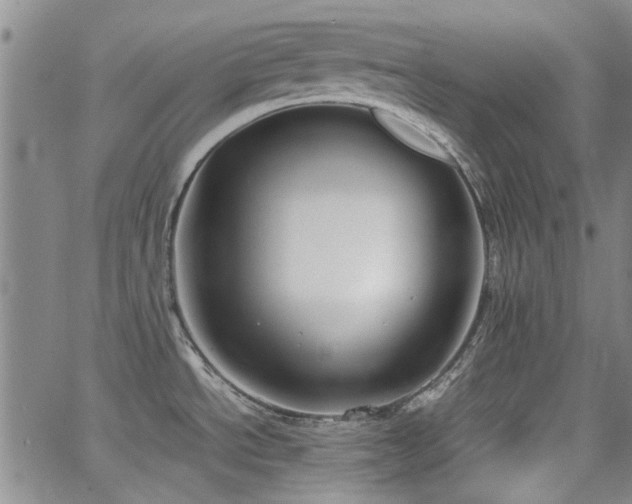 X0000063521534200601201420