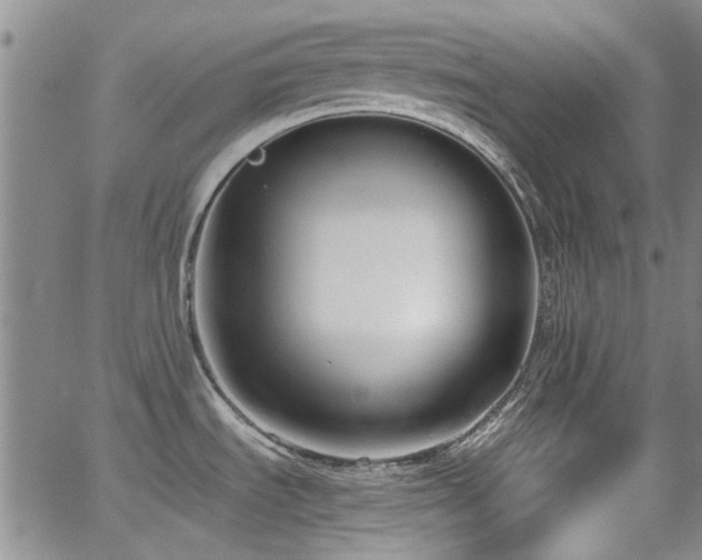 X0000063521535200601201420