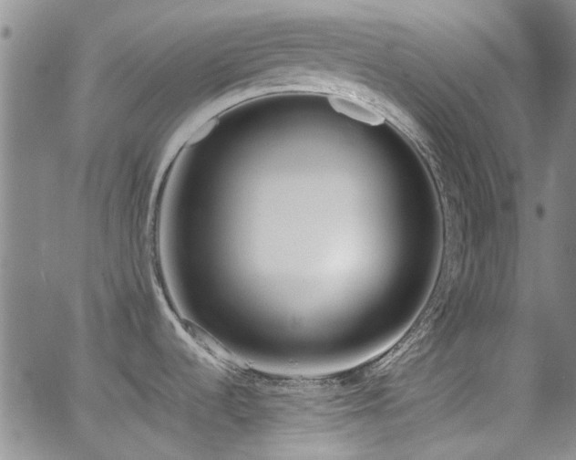 X0000063521536200601201420