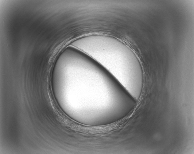 X0000063520001200601231528