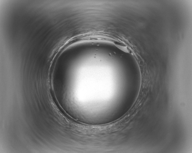 X0000063520002200601231528