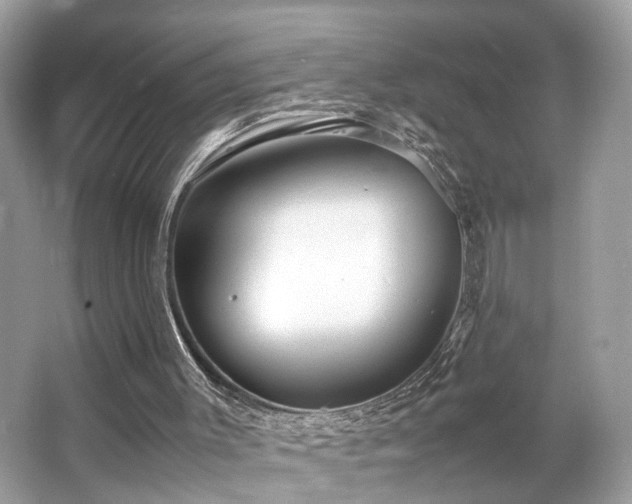 X0000063520003200601231528