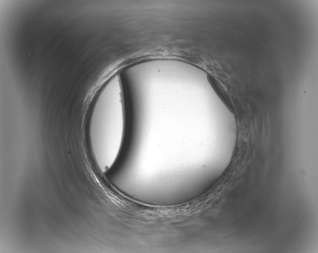 X0000063520005200601231528