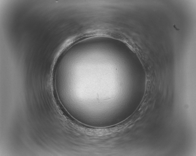 X0000063520006200601231528