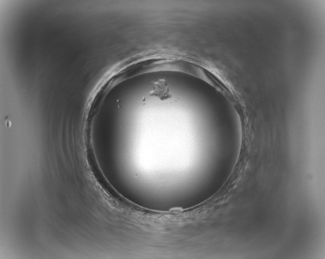 X0000063520007200601231528