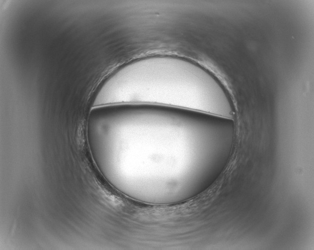 X0000063520009200601231528