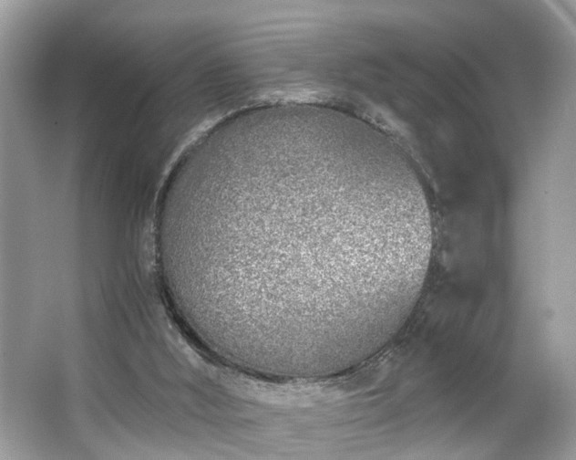 X0000063520012200601231527