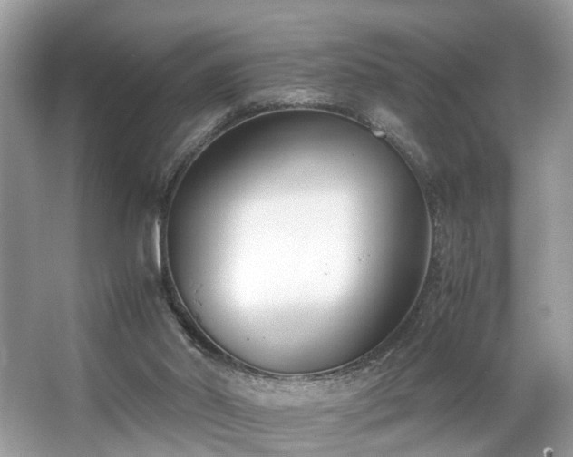 X0000063520014200601231527