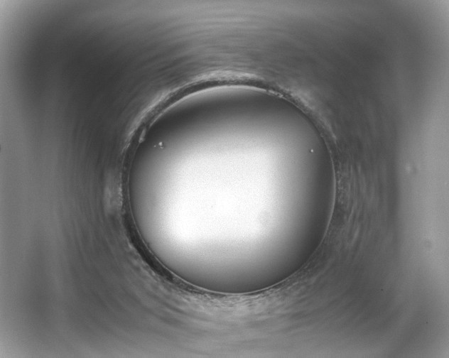 X0000063520015200601231527