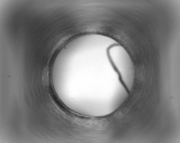 X0000063520016200601231527