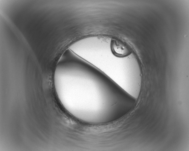 X0000063520017200601231527