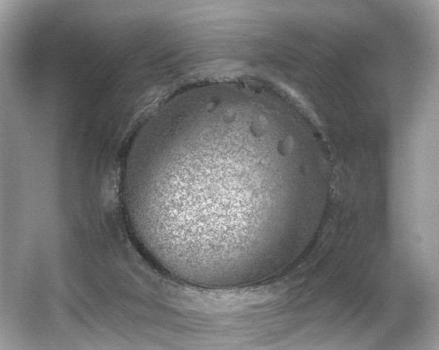 X0000063520018200601231527