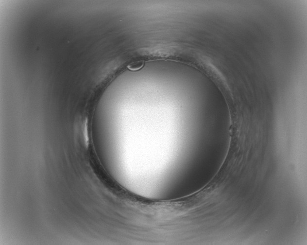 X0000063520020200601231527