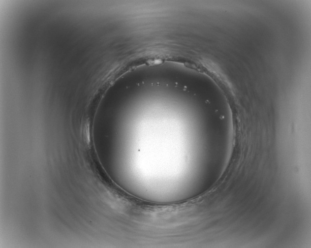 X0000063520021200601231527