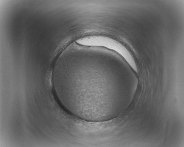 X0000063520023200601231527