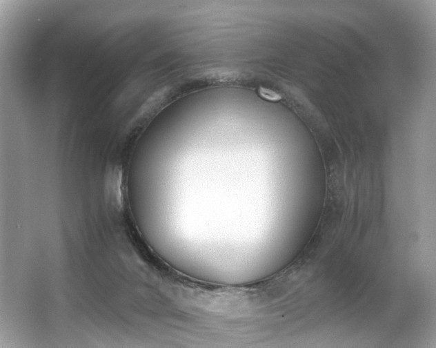 X0000063520024200601231527