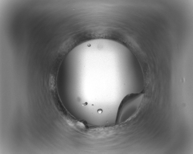 X0000063520025200601231527