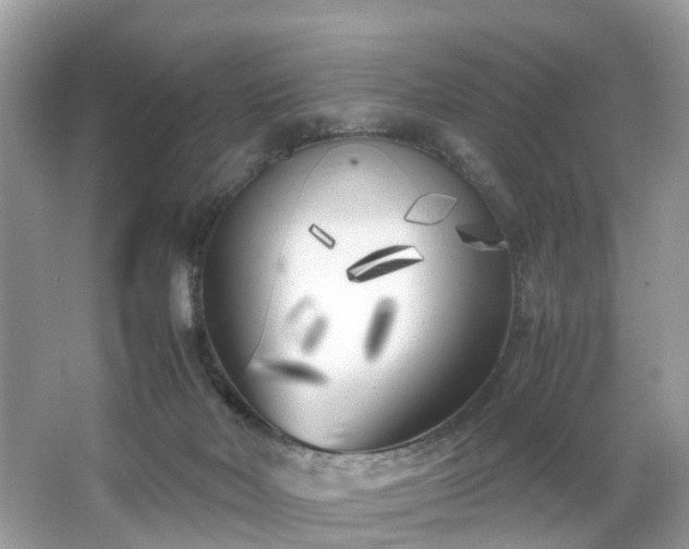 X0000063520026200601231527