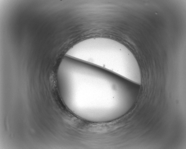 X0000063520029200601231527