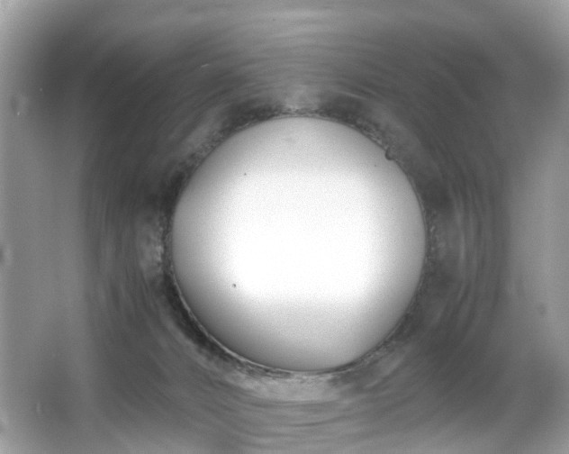 X0000063520032200601231527