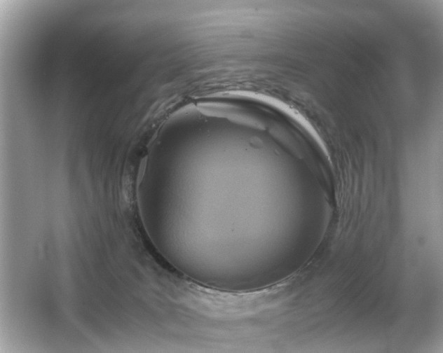 X0000063520035200601231527