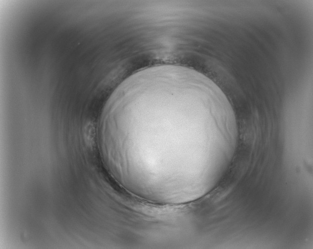 X0000063520036200601231527