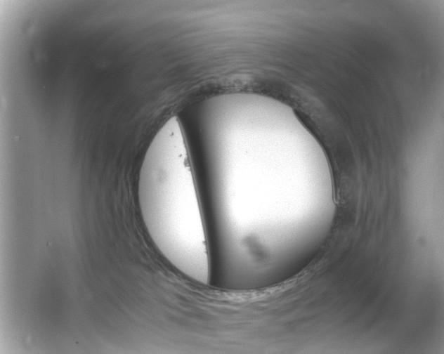 X0000063520037200601231527