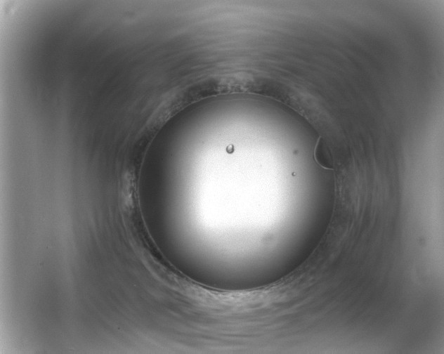 X0000063520038200601231527